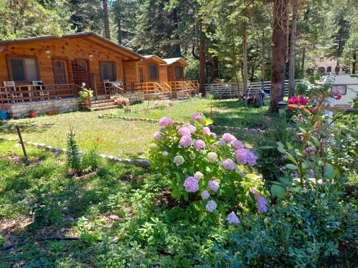 Bujtina Uji I Panjes, Log Cabins Dukat Exterior photo